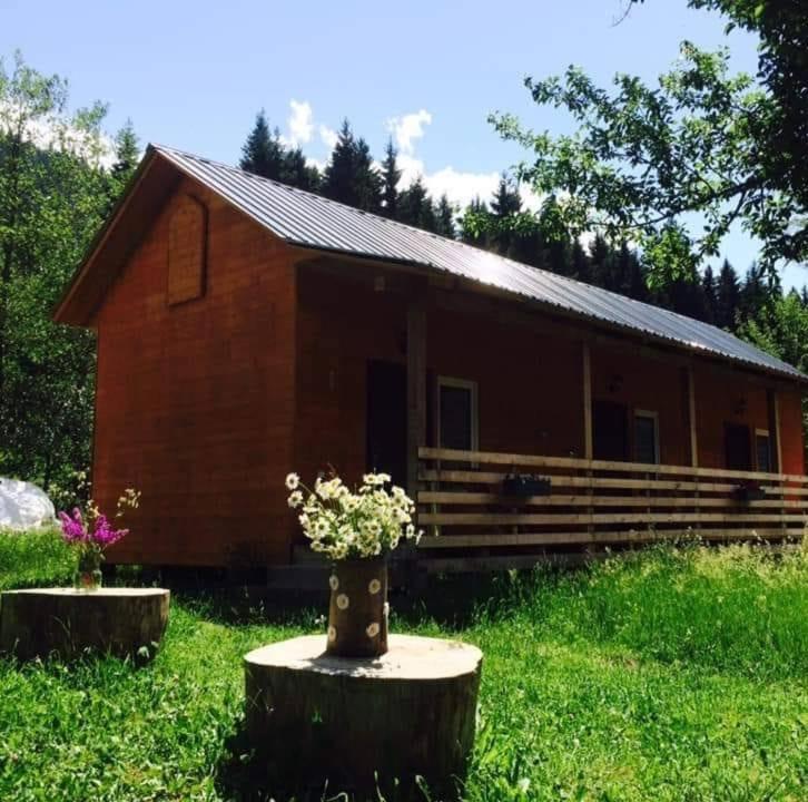 Cottage Shgedi Mestia Exteriér fotografie