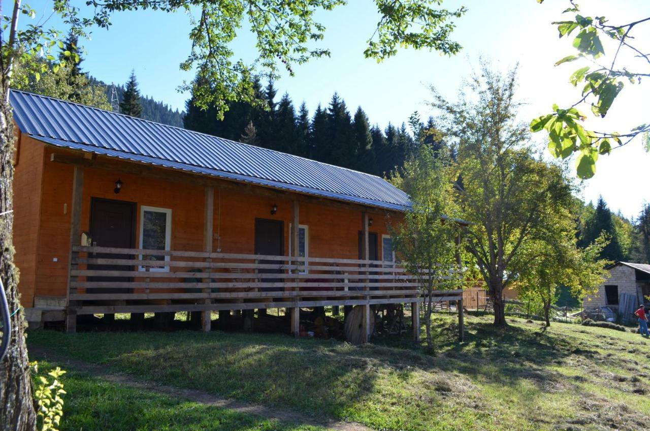 Cottage Shgedi Mestia Exteriér fotografie